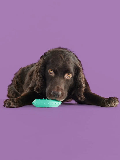 LuxePaws™ Yomp Chillchew Freezable Cooling Dog Toy