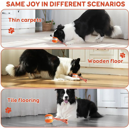 LuxePaws™ Interactive Motion-Activated Automatic Rolling Dog Ball with Rope