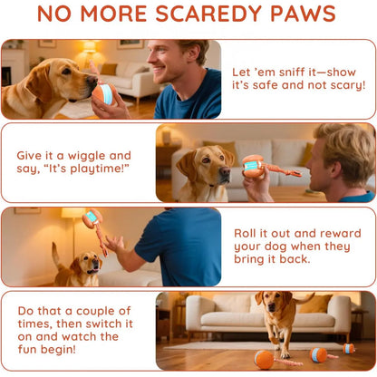 LuxePaws™ Interactive Motion-Activated Automatic Rolling Dog Ball with Rope